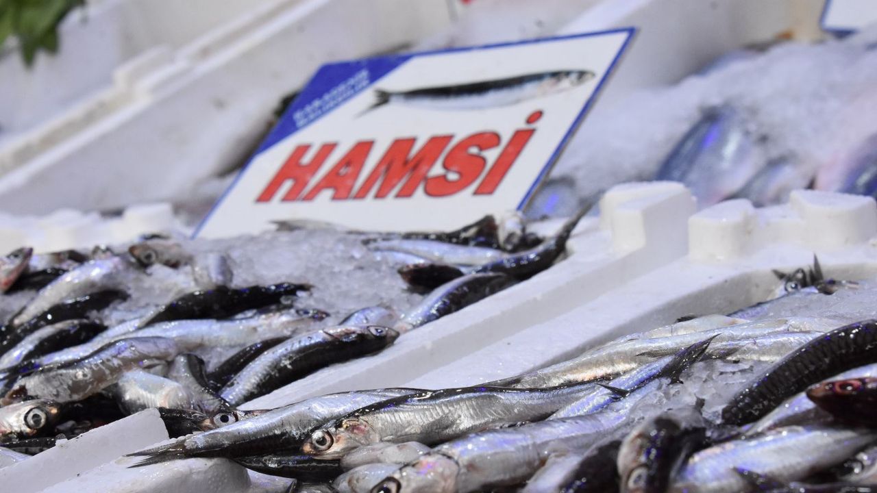 Balık Stoklarında Çöküş: Av Yasağı Sonrası Fiyatlar Tavan Yaptı
