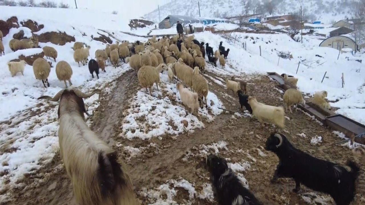 Erzincan’ın köylerinde kış mesaisi başladı