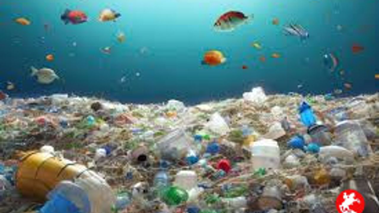 Plastiklerin Saçtığı Tehlikelerden Korunmanın En Önemli Yolları