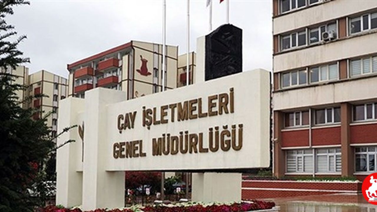ÇAYKUR'dan Büyük İstihdam Fırsatı! 1500 Kişiye Geçici İş Kapısı Açılıyor