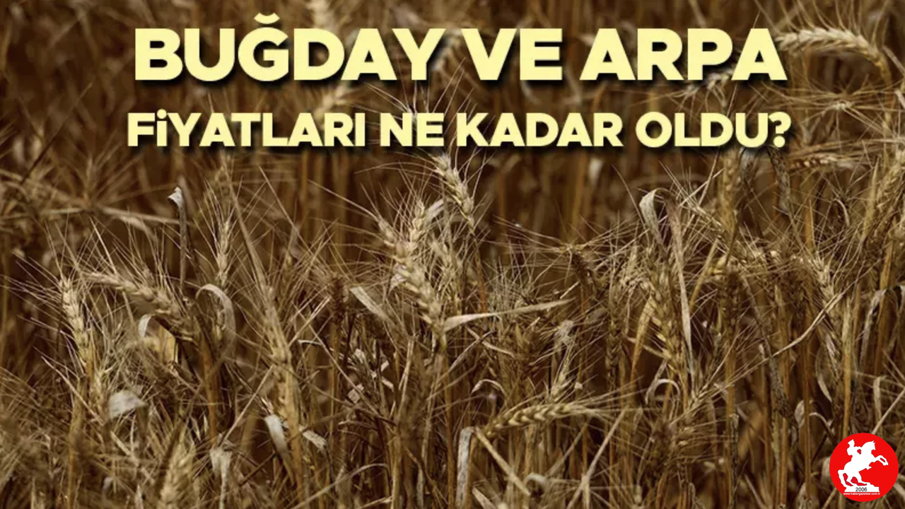 📉 Arpa ve Makarnalık Buğdayda Fiyat Düşüşü, Yulaf Geriledi: İşte Güncel Ton Başına Rakamlar