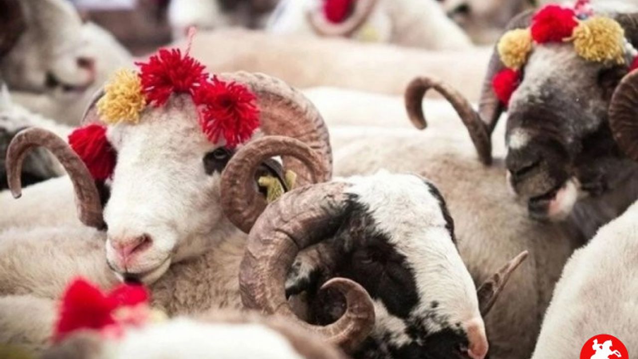 Kurban Bayramında Kimler Kurban Kesmelidir?