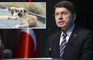 Adalet Bakanı Yılmaz Tunç: Başıboş Hayvan Sorunu Üzerine Açıklamalar
