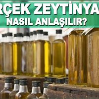 Yaşam