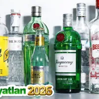 EKONOMİ