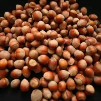 Fındık