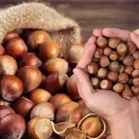 Fındık