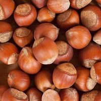 Fındık
