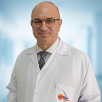 Prof. Dr. Uğur Özkan