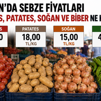SAMSUN