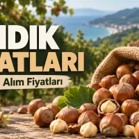 Fındık