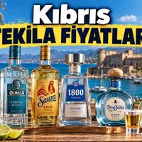 Alkol