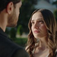 Dizi