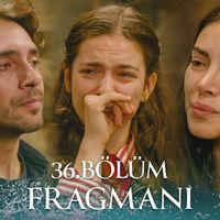 Dizi
