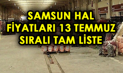 13 Temmuz Samsun Hal Fiyatları tam listesi