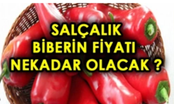 Salçalık Biber Fiyatları 2026: Toptancı Halde Son Durum