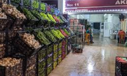 SAMSUN.HAL MEYVE VE SEBZE  FİYAT LİSTESİ