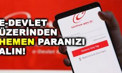 E-devlet Üzerinden Hemen Paranızı Alın!