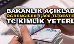 Bakanlık Duyurdu TC Kimlikle 1800 TL Hesaplarda