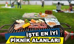 Samsun'da  en iyi piknik alanları 2024