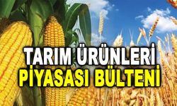 Tarım Ürünleri Piyasası Bülteni 15 - 21 Ağustos 2023