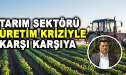 Tarım sektörü üretim krizi ile karşı karşıya