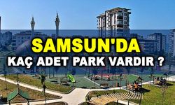 Samsun’da Kaç Park Var? Güncel Parklar ve Konumları