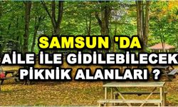 Samsun'daki en iyi piknik alanları