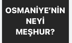 Osmaniye'nin neyi meşhur