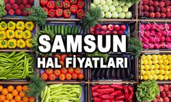 Samsun'da Bugün Hal Fiyatları Ne durumda ? (24 Mayıs 2024 )