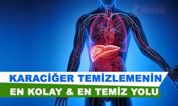 Karaciğer Nasıl Temizlenir? Detoks Gerçeği ve Pancarın Etkisi