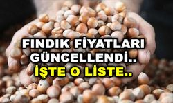 Fındık Piyasasında Son Durum 31 Ekim 2024 Fındık Fiyatları