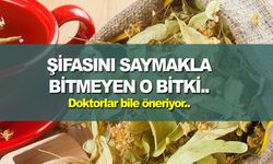 Şifası saymakla bitmeyen o bitkiyi doktorlarda önerdi !