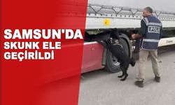 Samsun'da tırda 3 kilo 950 gram skunk ele geçirildi