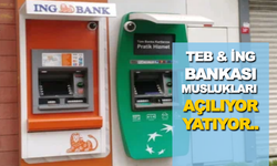 Teb & İng Bankası Muslukları  Açılıyor Yatıyor! SMS gönderen parayı alıyor..