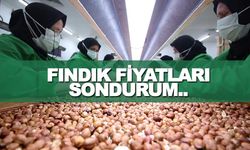 Samsun Fındık Fiyatları 11 Mart Şok eden fiyatlar