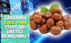Çarşamba'da 12 Ocak 2024 Serbest Piyasada Fındık Fiyatları Listesi ? Son Durum Nedir ?