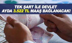 Tek şart ile Ayda Devlet 3.522 TL maaş bağlanacak!