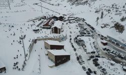 Çambaşı Yaylası’na ziyaretçi akını