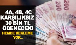 DUYURU YAPILDI; Emekli isen ve 4A, 4B, 4C 2024 yılında  Karşılıksız 30 bin ödenecek!