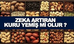 'Zekayı Arttıran Kuru Yemiş mi Olur?' Demeyin! Hem de Nasıl Olur