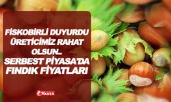 Fındık Fiyatları Serbest Piyasada Eşi görülmemiş Yükselişler yaşıyor!