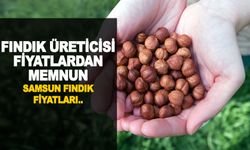 Serbest Piyasa 'da Fındık Fiyatı Ne durumda ? Samsun'da Haftanın Kapanış Fiyatları 16 Ocak 2024