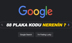 88 nerenin plakası ? Nerden Çıktı Bu 88 Plakası !