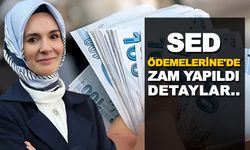 SON DAKİKA! Ocak ayında 1 2 3 4 çocuklu ailelere SED 6 bin 505 lira ödeme yapacak