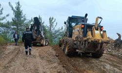 Antalya Büyükşehir ekiplerinin Alanya kırsalında çalışmaları sürüyor