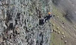 Batman’da 5 gün kayalıklarda mahsur kalan keçi kurtarıldı