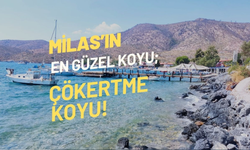 Çökertme Koyu Nerededir?