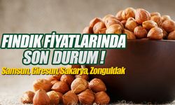 Fındık Fiyatlarındaki Güncel Durum: Samsun ve Doğu Karadeniz İçin İhracatın Nabzı! 09 Şubat 2024