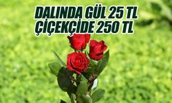Sevgililer Günü Yaklaşırken Gül dalında 25 TL iken Çiçekçide 250 TL
